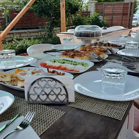 Hasani 24 *