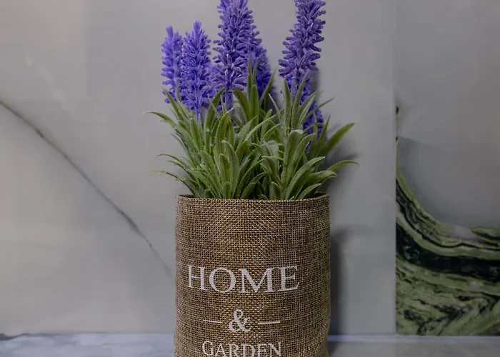 Appartamento Hasani 24 *