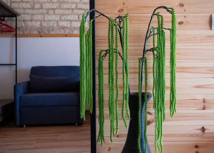 Hasani 24 Appartamento